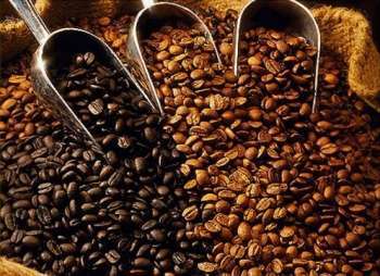 уровень обжарки кофейных зерен непосредственным образом влияет на вкусовые качества растворимого кофе обжарка зерен кофе