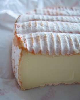 характеристика продукта