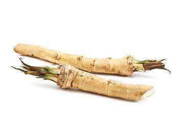 лечение с помощью продукта