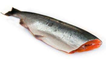 как выглядит продукт