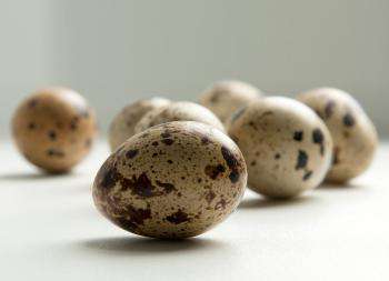 выбор продукта