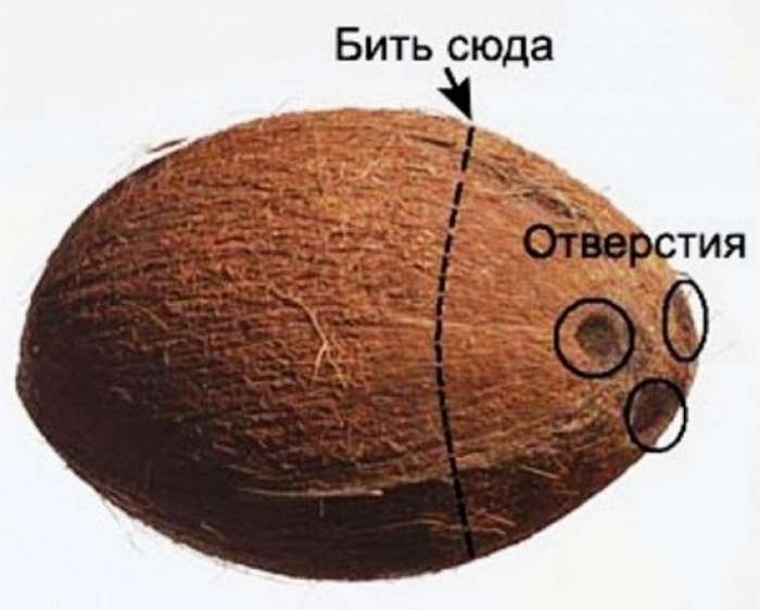 Как расколоть кокос?