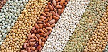 В каких продуктах содержится?