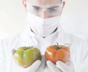 В каких продуктах содержится?