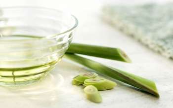 лимонная трава - природный антисептик полезные свойства травы