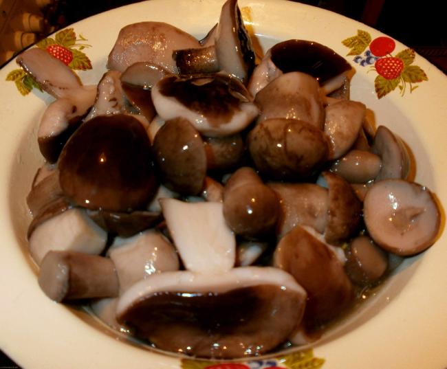 маринованные рядовки