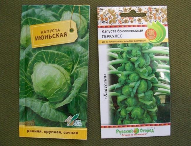 упаковки с семенами