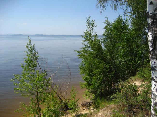 судак водится в озерах и других водоемах