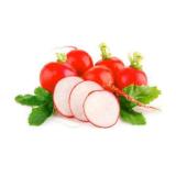 красная редька целая и нарезанная кружочками