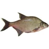 описание продукта